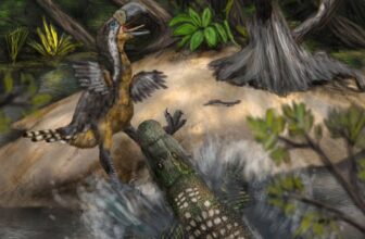 An Even Scarier Predator Hunted Large ‘Terror Birds’ in South America