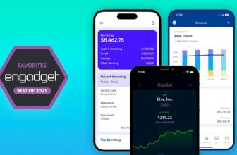 The very best Mint alternate options