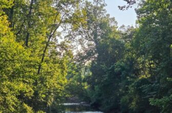 The Little Issues E-newsletter #483 – Life, laughter, and plenty of nice meals!