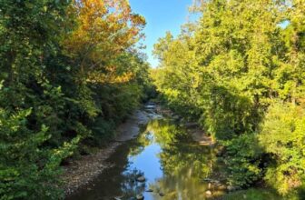 The Little Issues Publication #487 – Life, laughter, and plenty of nice meals!