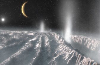 New Life-Giving Molecules Present in 17-Yr-Previous Knowledge From Saturn’s Moon Enceladus