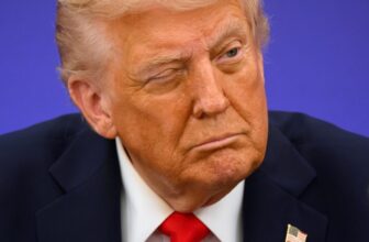 Contained in the AI Healthcare Coalition That the Trump Admin Desires Lifeless