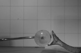 This Is What a Venomous Snake Chew Appears to be like Like at 1,000 Frames per Second