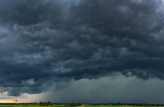 The best way to Grow to be a Yard Meteorologist With a Few Easy Instruments