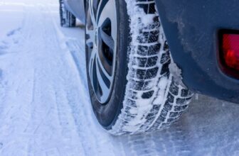 A Wobbly Polar Vortex May Make for a Bitter Thanksgiving Throughout A lot of the U.S.