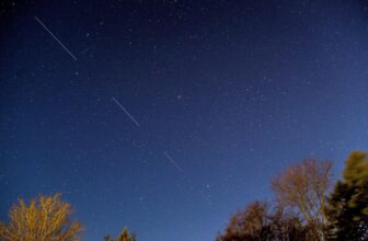 Starlink is reducing hundreds of satellites’ orbits to cut back danger of collisions